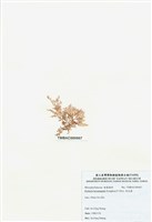 藏品(浪花藻)的圖片